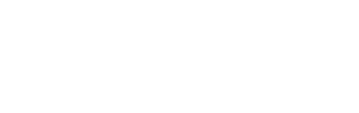 Steam